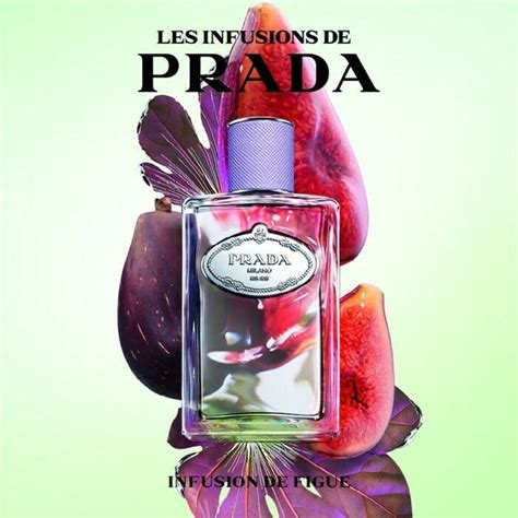 infusion d oeillet prada|prada infusion de figue.